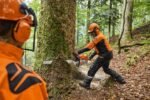 ms-881-63cm-rollo-es-404-rs-tronconneuse-thermique-stihl.jpeg