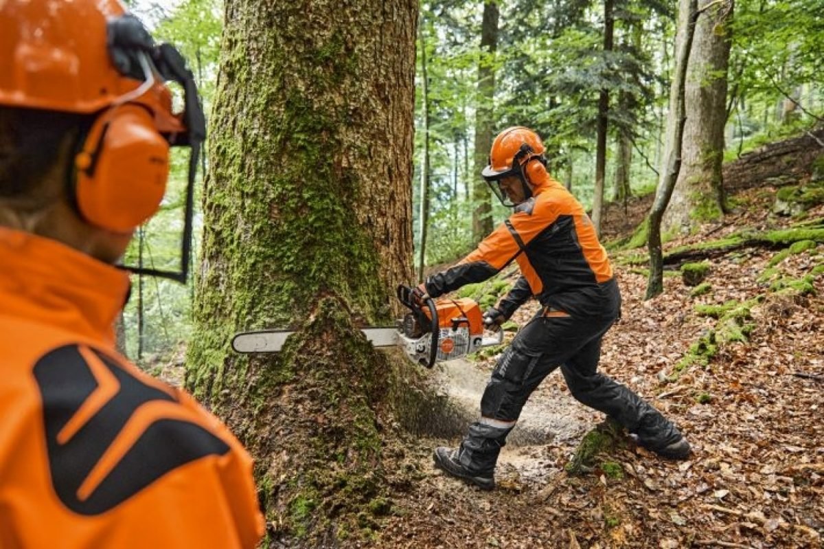 stihl-tronconneuse-ms-881-1-1200x799-1.jpeg